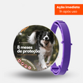 Colar SafePet | Anti Pulgas e Carrapatos - seu pet saudável